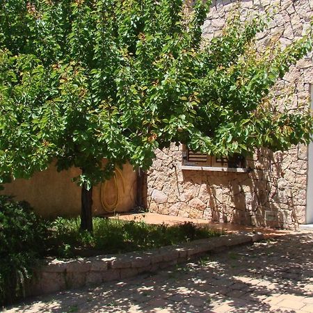 阿列恩图Bella Casa Con Giardino A 10 Minuti Dal Mare公寓 外观 照片