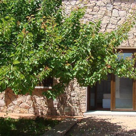 阿列恩图Bella Casa Con Giardino A 10 Minuti Dal Mare公寓 外观 照片